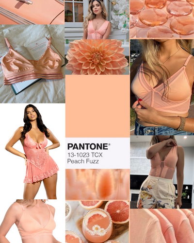 PANTONE COLOR OF THE YEAR 2024 - PEACH FUZZ